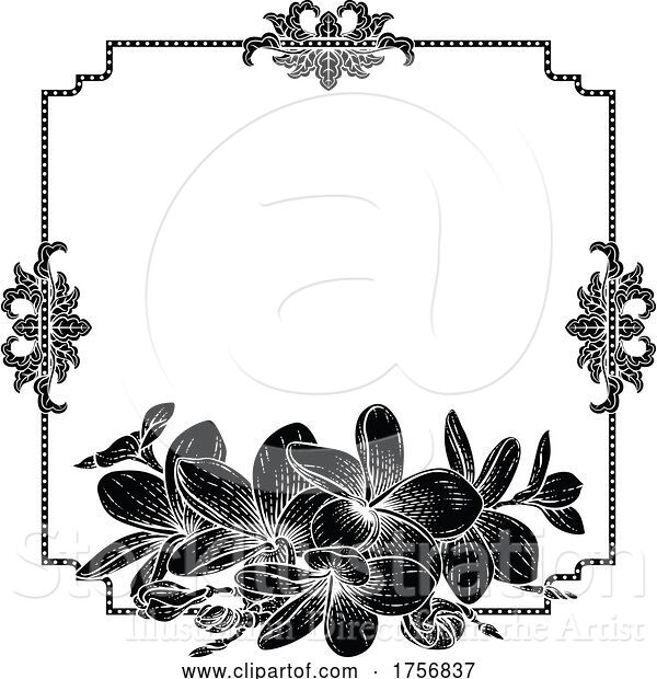 Vector Illustration of Plumeria Tropical Flower Wedding Invite Background