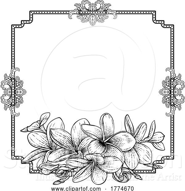 Vector Illustration of Plumeria Tropical Flower Wedding Invite Background