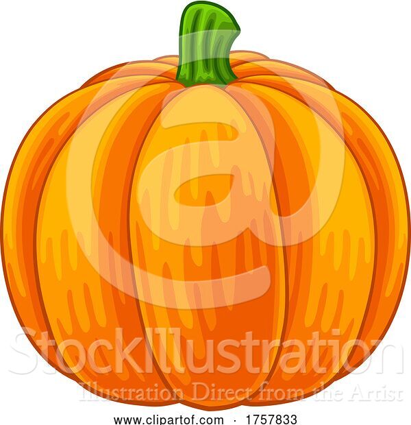 Vector Illustration of Pumpkin Vegetable Food Drawing