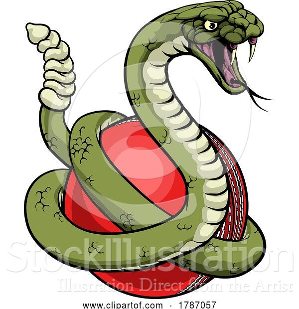 Vector Illustration of Rattlesnake Cricket Ball Animal Sports Team Mascot