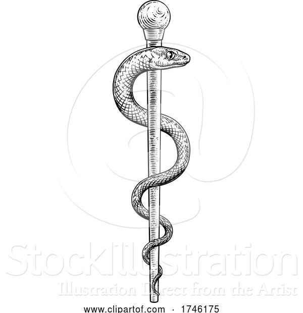Vector Illustration of Rod of Asclepius Vintage Medical Snake Symbol