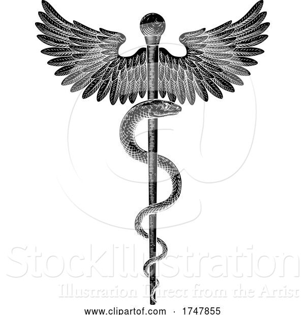 Vector Illustration of Rod of Asclepius Vintage Medical Snake Symbol