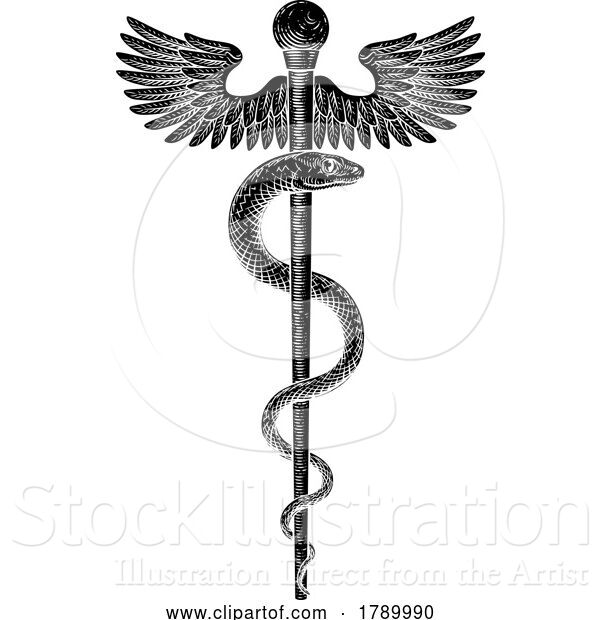 Vector Illustration of Rod of Asclepius Vintage Medical Snake Symbol