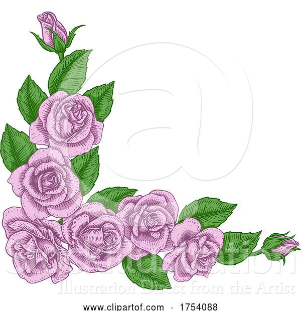 Vector Illustration of Rose Flower Border Woodcut Vintage Corner Frame