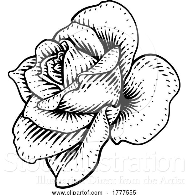 Vector Illustration of Rose Flower Design Woodcut Vintage Retro Style