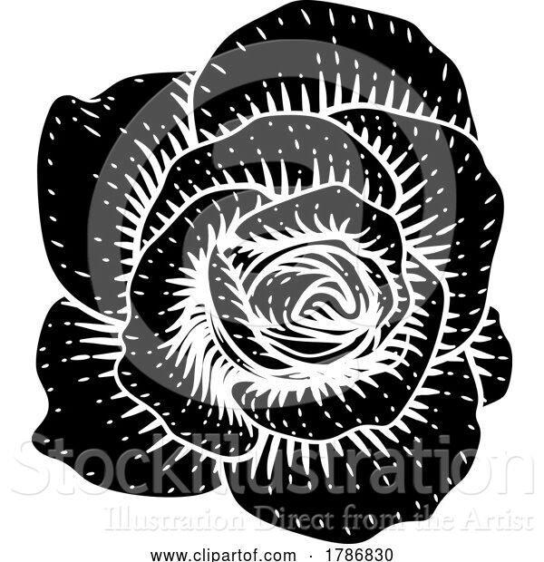 Vector Illustration of Rose Flower Design Woodcut Vintage Retro Style