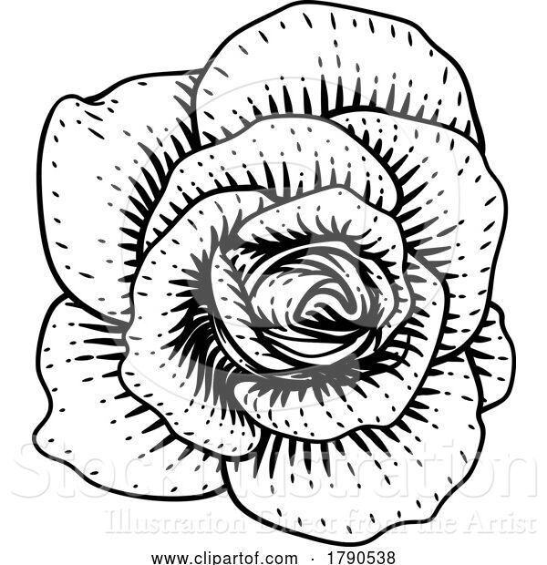 Vector Illustration of Rose Flower Design Woodcut Vintage Retro Style