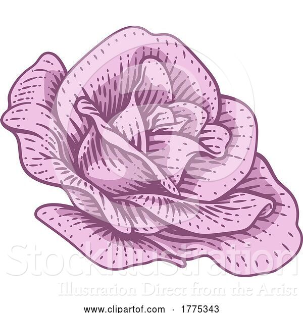 Vector Illustration of Rose Flower Design Woodcut Vintage Style