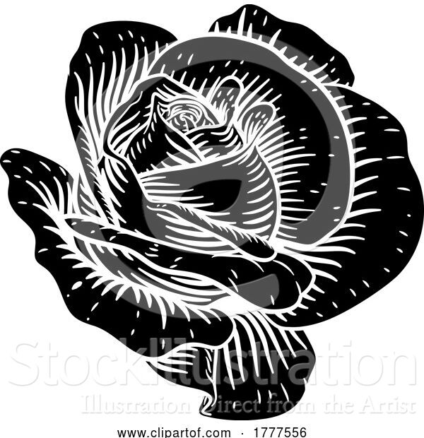 Vector Illustration of Rose Flower Vintage Woodcut Drawing