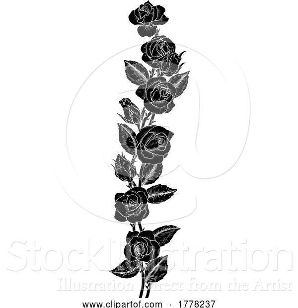Vector Illustration of Roses Rose Flowers Design in Vintage Woodcut Style