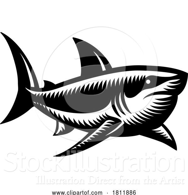 Vector Illustration of Shark Animal Woodcut Vintage Style Icon Mascot