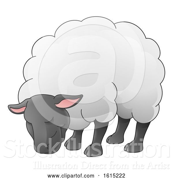 Vector Illustration of Sheep Animal Character