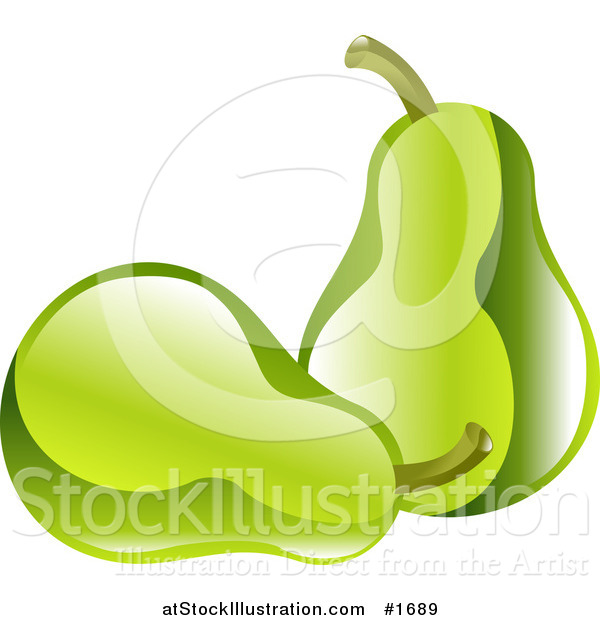 Vector Illustration of Shiny Organic Green Pears