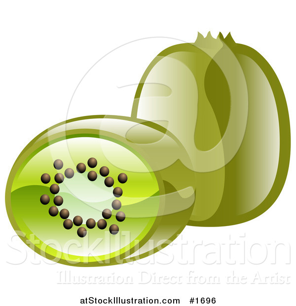 Vector Illustration of Shiny Organic Kiwi Fruits