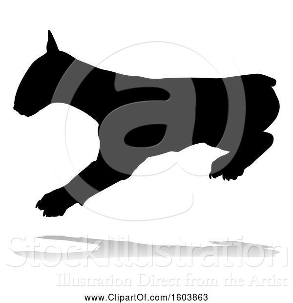 Vector Illustration of Silhouetted Bull Terrier Dog, with a Reflection or Shadow, on a White Background