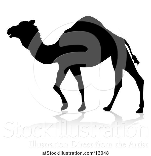 Vector Illustration of Silhouetted Camel, with a Reflection or Shadow, on a White Background