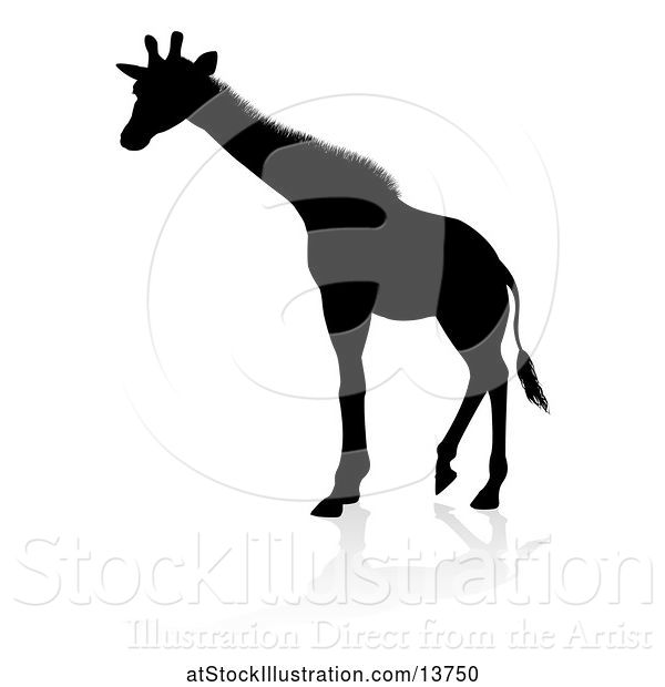 Vector Illustration of Silhouetted Giraffe with a Shadow on a White Background