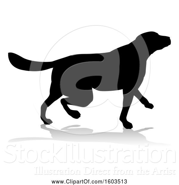 Vector Illustration of Silhouetted Golden Retriever Dog, with a Reflection or Shadow, on a White Background