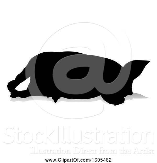Vector Illustration of Silhouetted Pig, with a Reflection or Shadow, on a White Background