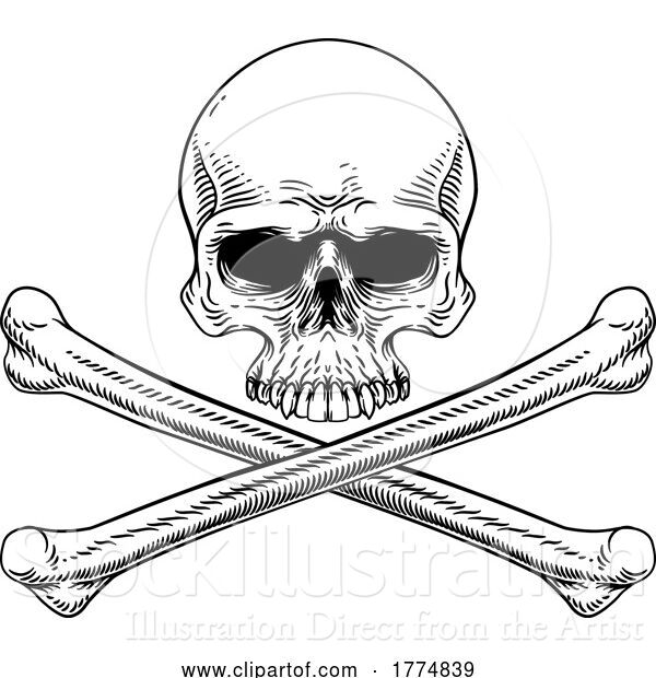 Vector Illustration of Skull and Crossbones Cross Bones Vintage Woodcut
