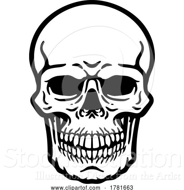 Vector Illustration of Skull Grim Reaper Skeleton Head