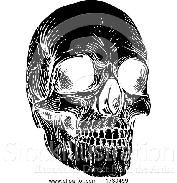 Vector Illustration of Skull Grim Reaper Vintage Woodcut Illustration