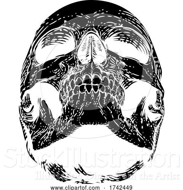 Vector Illustration of Skull Grim Reaper Vintage Woodcut Illustration