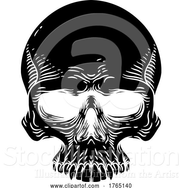 Vector Illustration of Skull Old Vintage Woodcut Etching Engraving Style
