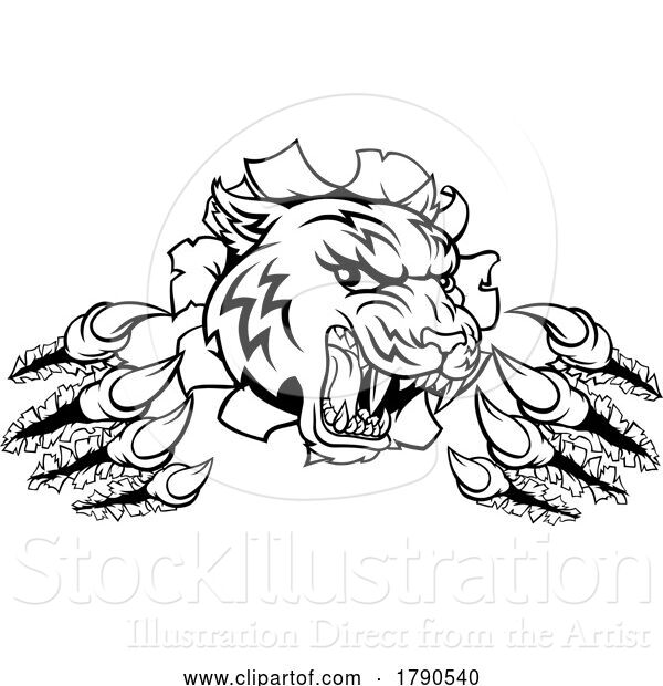 Vector Illustration of Snarling Tiger Mascot Slashing Through a Wall