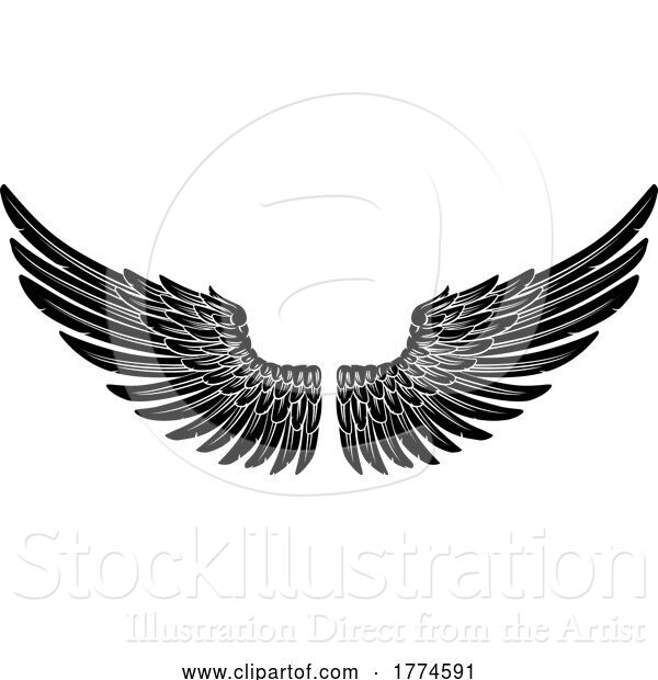 Vector Illustration of Spread Pair of Angel or Eagle Feather Wings