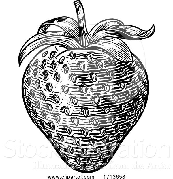 Vector Illustration of Strawberry Vintage Woodcut Illustration
