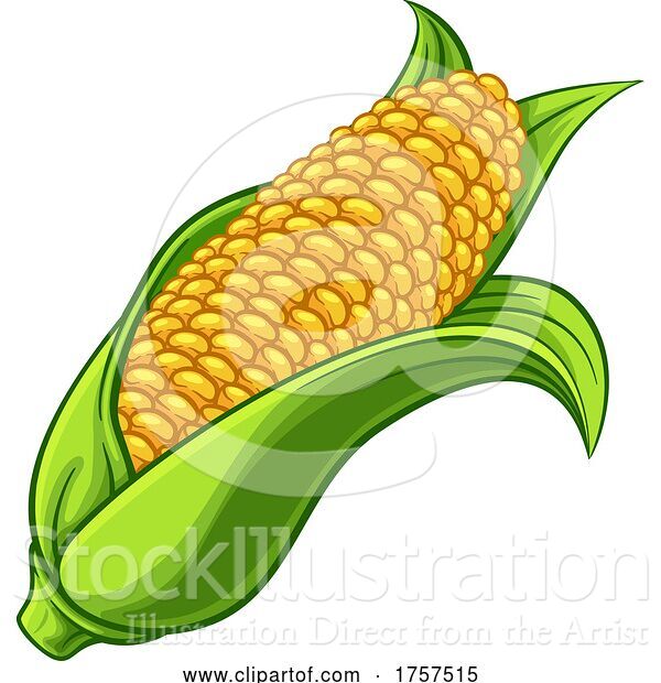 Vector Illustration of Sweet Corn Ear Maize Cob Illustration