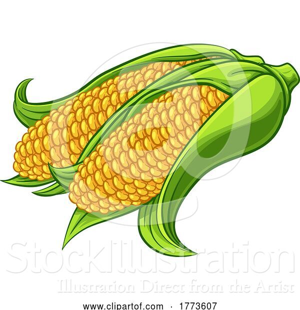 Vector Illustration of Sweet Corn Ear Maize Cob Illustration
