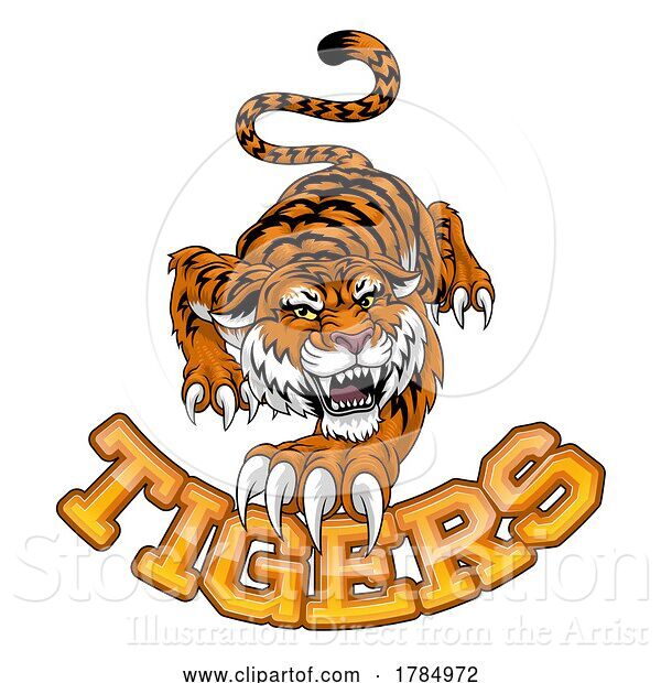 Vector Illustration of Tiger Angry Tigers Team Sports Mascot Roaring