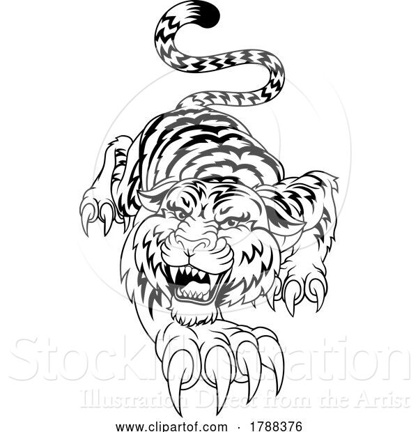 Vector Illustration of Tiger Angry Tigers Team Sports Mascot Roaring