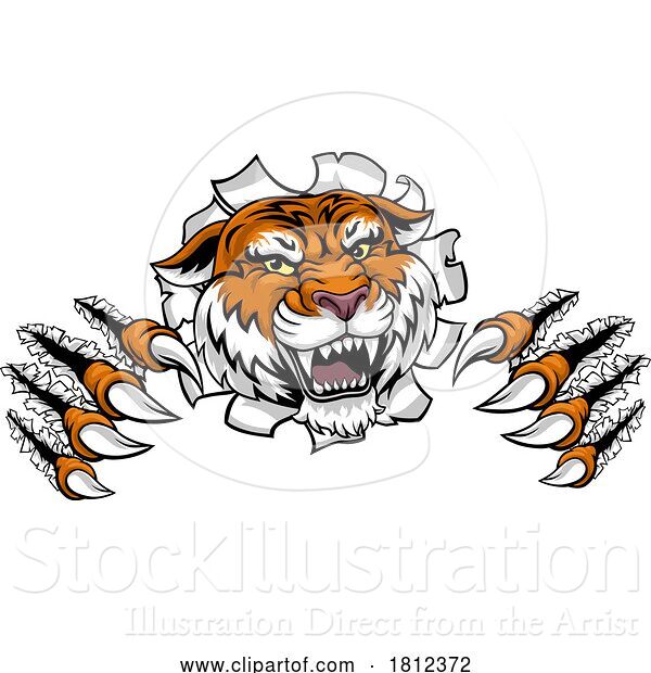 Vector Illustration of Tiger Animal Sports Team Mascot