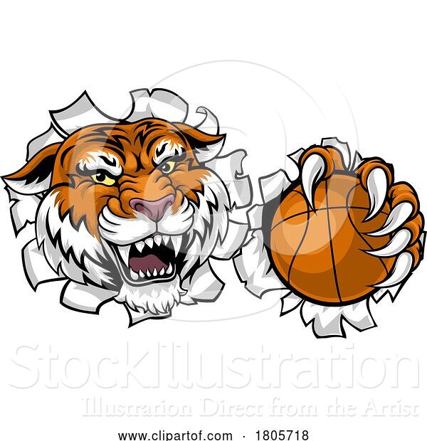 Vector Illustration of Tiger Basketball Ball Animal Sports Team Mascot