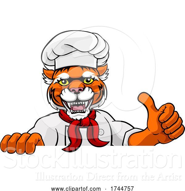 Vector Illustration of Tiger Chef Mascot Sign Character