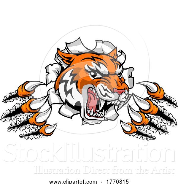 Vector Illustration of Tiger Shredding Through a Wall or Banner