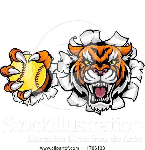 Vector Illustration of Tiger Softball Animal Sports Team Mascot