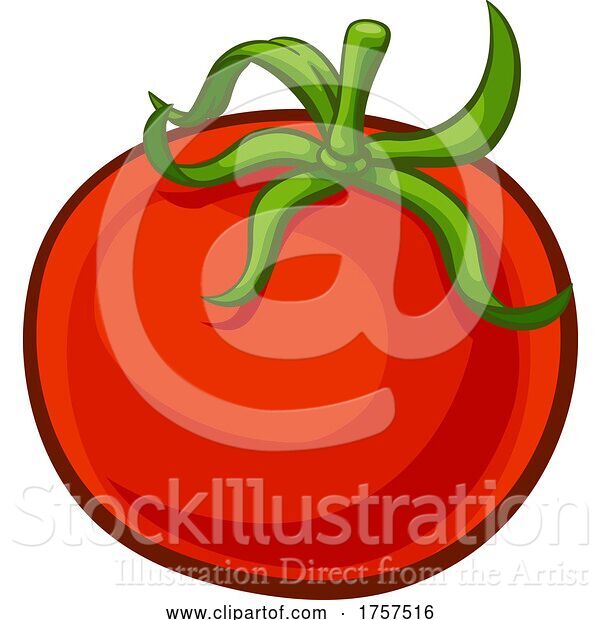 Vector Illustration of Tomato Vegetable Food Drawing