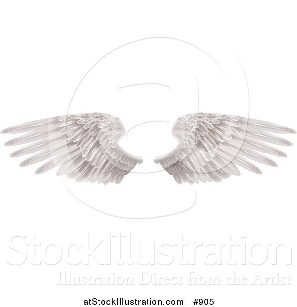 Vector Illustration of Two Large White Feathered Wings Spread Open, Isolated on White