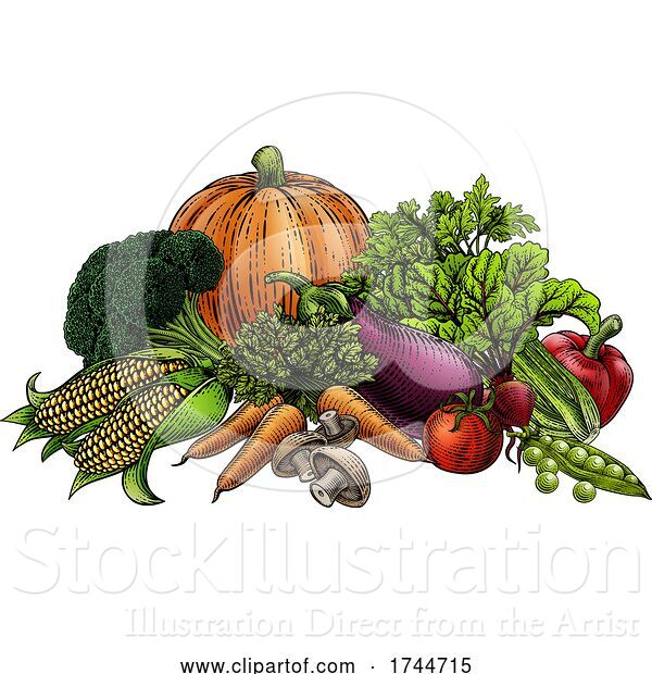 Vector Illustration of Vegetables Fruit Produce Food Illustration Woodcut