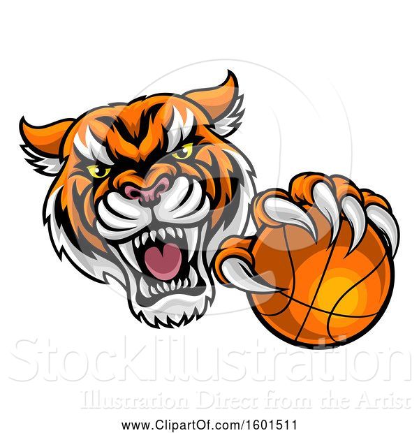 Vector Illustration of Vicious Tiger Sports Mascot Grabbing a Basketball