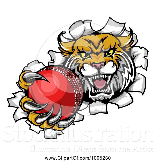 Vector Illustration of Vicious Wildcat Mascot Breaking Through a Wall with a Cricket Ball