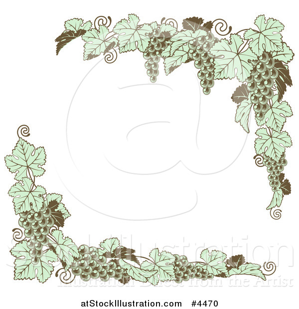 Vector Illustration of Vintage Green Grape Vine Corner Borders
