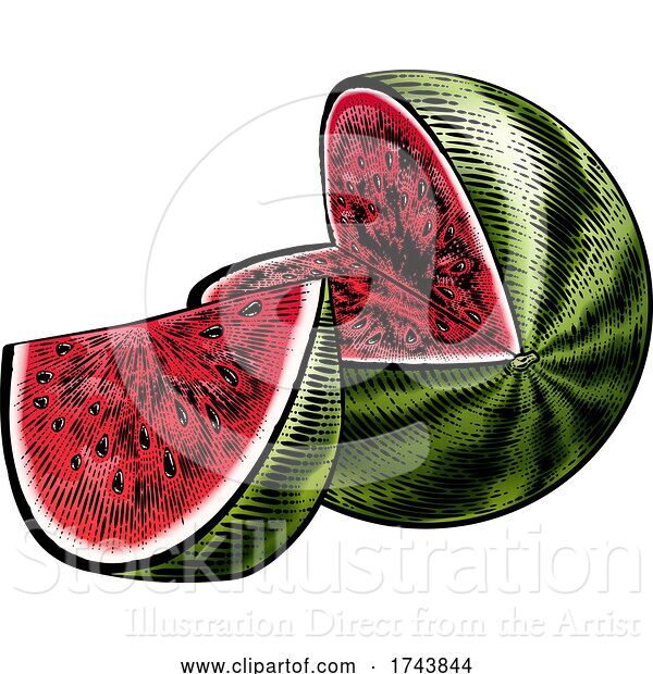 Vector Illustration of Watermelon Vintage Woodcut Engraved Style Drawing