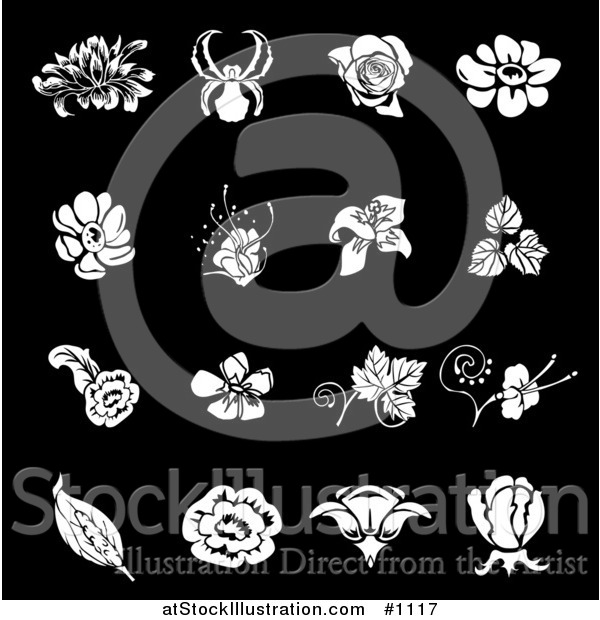 Vector Illustration of White Iris, Rose, Daisy and Tulip Flower Icons over a Black Background