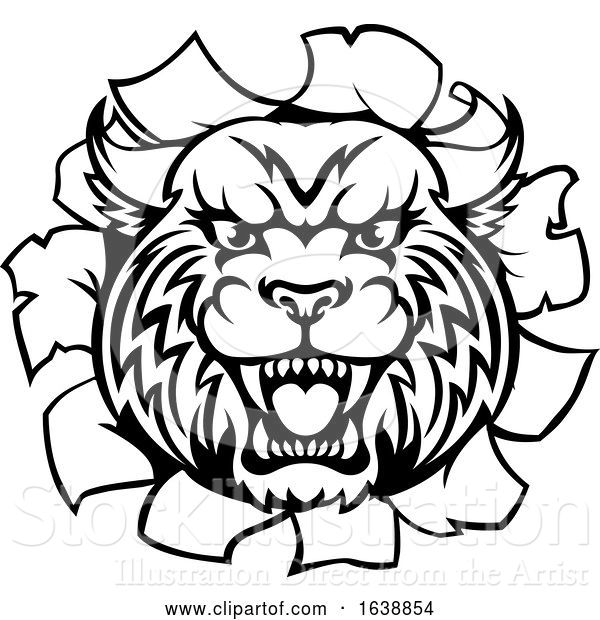 Vector Illustration of Wildcat Angry Mascot Background Breakthrough