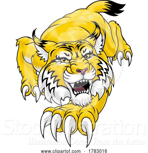 Vector Illustration of Wildcat Angry Wildcats Team Sports Mascot Roaring